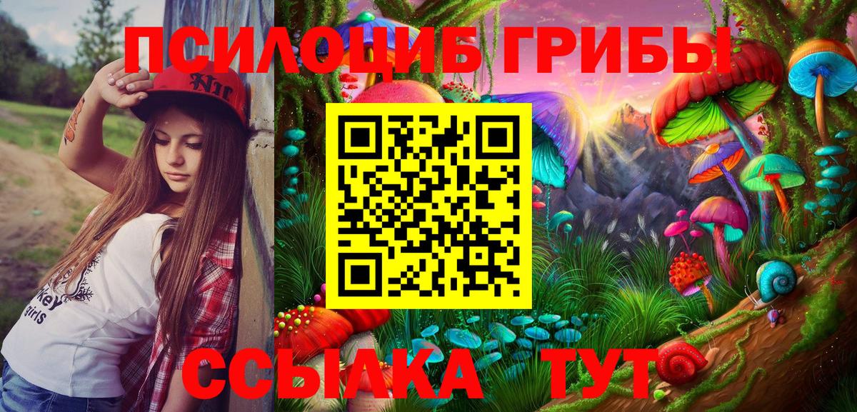 Галлюциногенные грибы Psilocybe Пенза